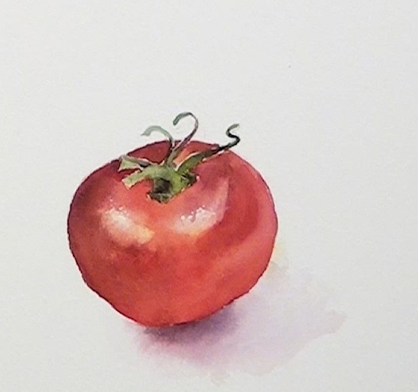 600x563 Painting Still Life In Watercolour Arttutor