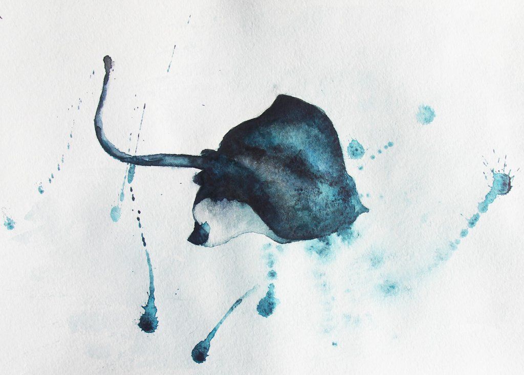 1024x734 Stingray Watercolor