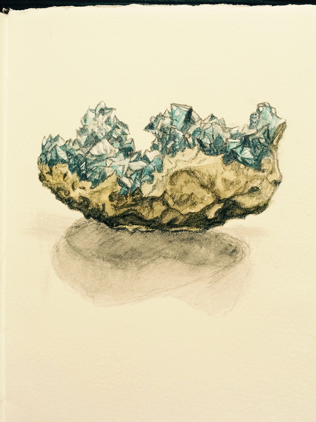 1080x1440 Nature Bess A. Yontz Illustration