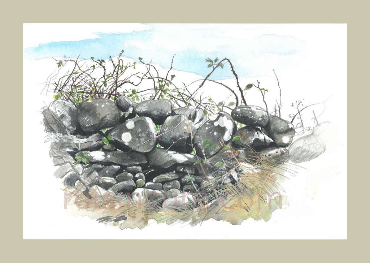 1195x850 Stone Wall With Brambles, Galway