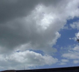 272x250 Wetcanvas Artschool Online Watercolors Watercolor Painting, My