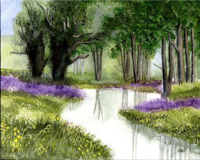 650x520 Blue Bonnet Stream (Alan Casey)