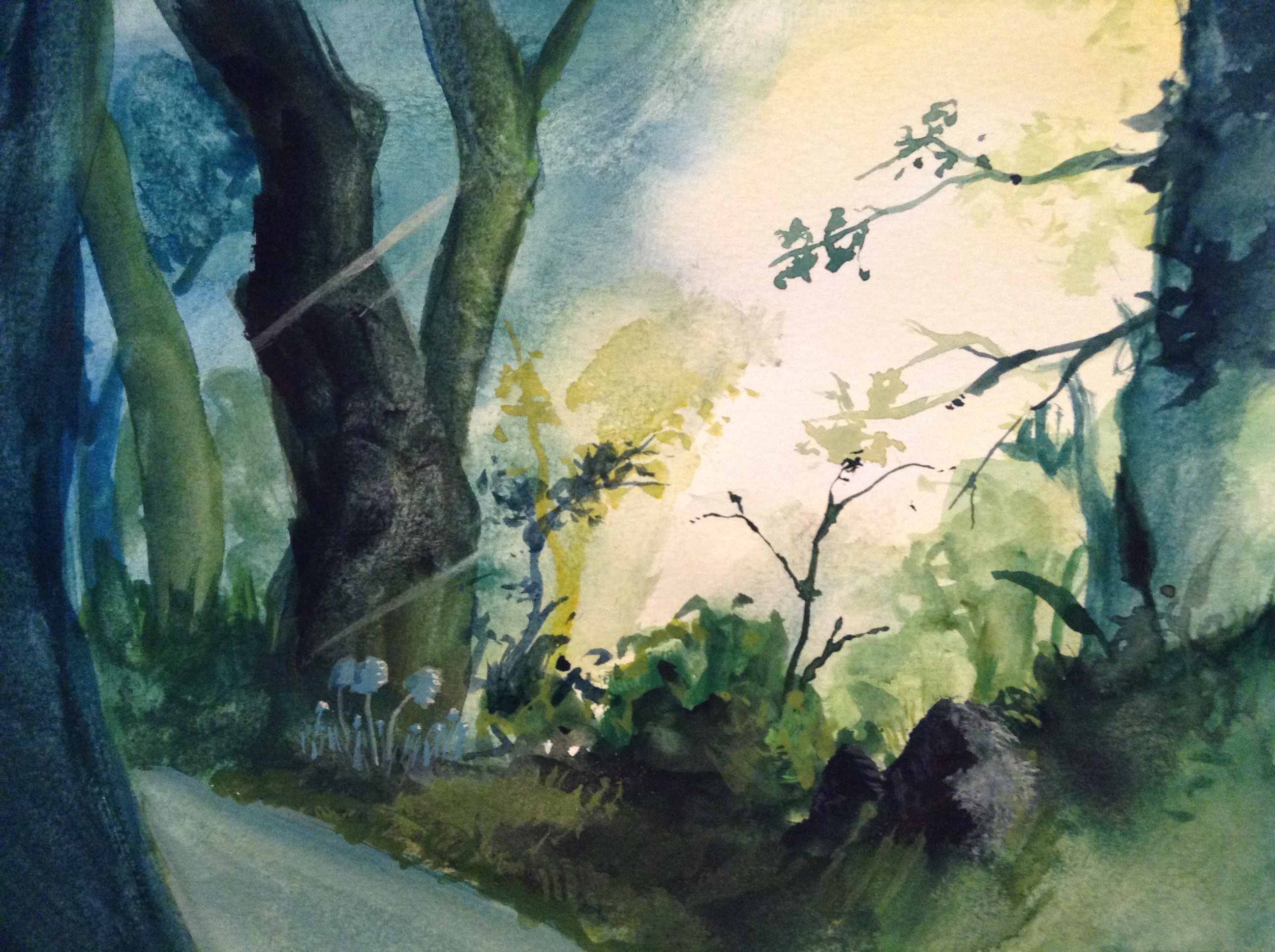 2592x1936 Wanting To Get Serious About Watercolor Because I Really Like