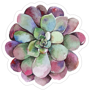 300x300 Red Watercolor Succulent Sticker