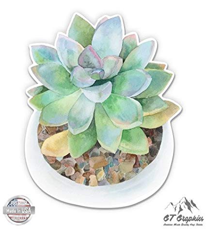 425x472 Watercolor Succulent In Pot