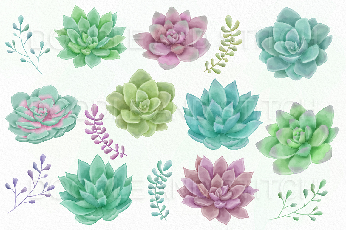 1160x772 Watercolor Succulent Clipart Illustrations By Doodle Art
