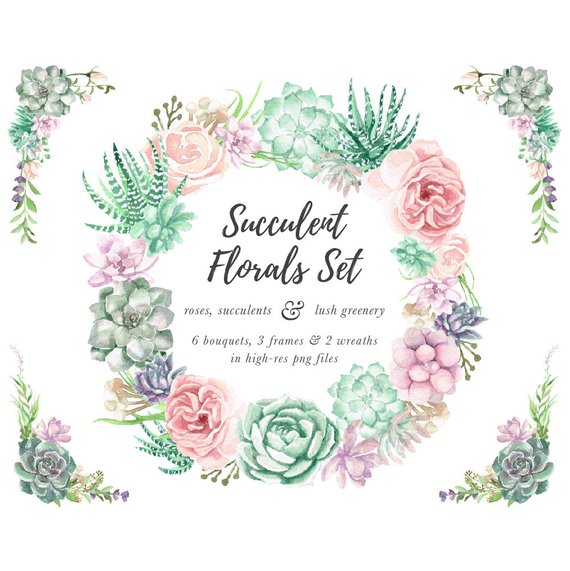 570x571 Watercolor Succulent Clipart Watercolor Flowers Watercolor Etsy