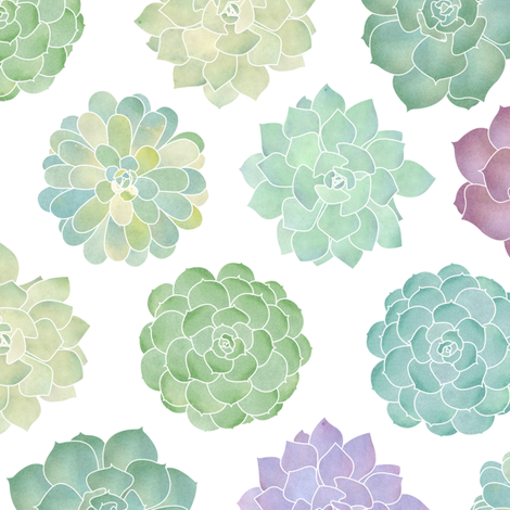 Watercolor Succulent at GetDrawings | Free download