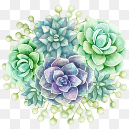 260x260 Watercolor Succulent Png, Vectors, Psd, And Clipart For Free