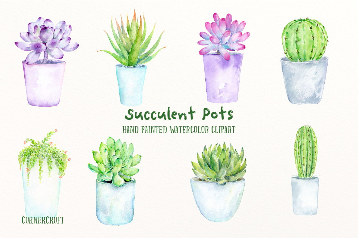 1159x771 Watercolor Succulent Pots By Cornercroft