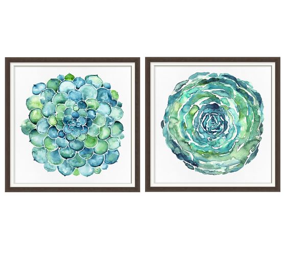 558x501 Watercolor Succulent Print Pottery Barn