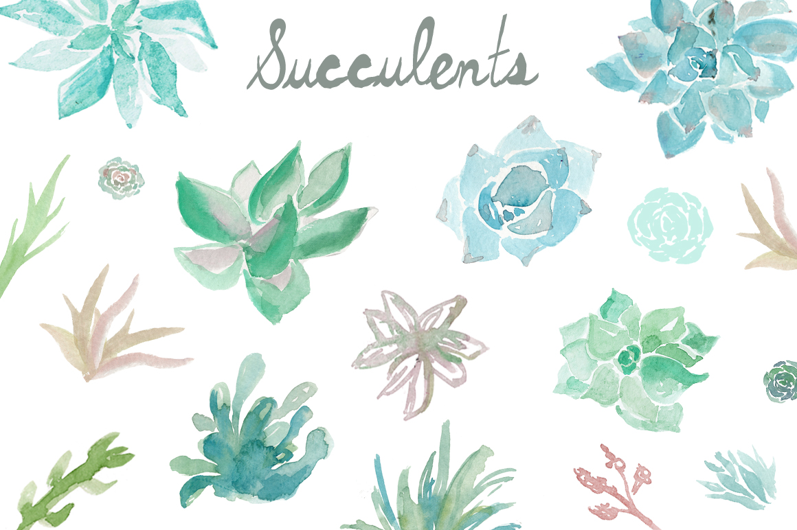 1160x772 Watercolor Succulents Clip Art