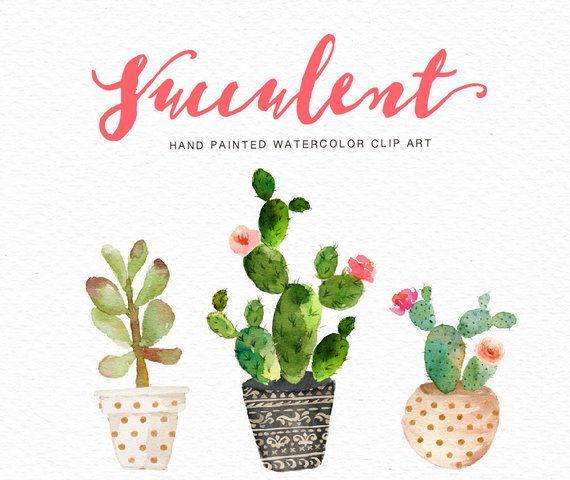570x480 Watercolor Succulent Clip Art Collection Digital Clipart Etsy