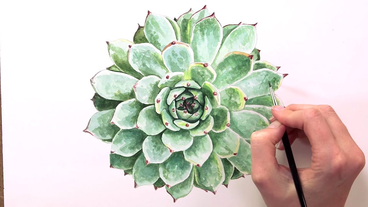 1280x720 How To Paint Succulent Leaves In Watercolor
