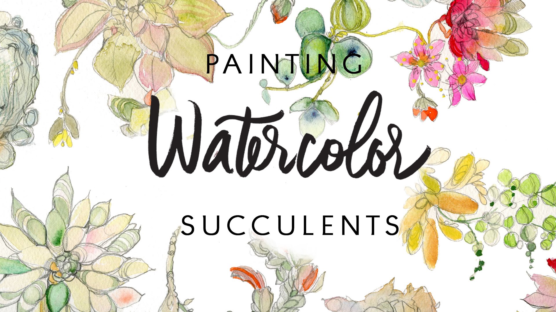 1920x1080 Painting Watercolor Succulents By Kristy Rice