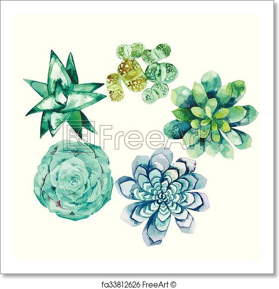 561x581 Free Art Print Of Watercolor Succulent Collection. Watercolor