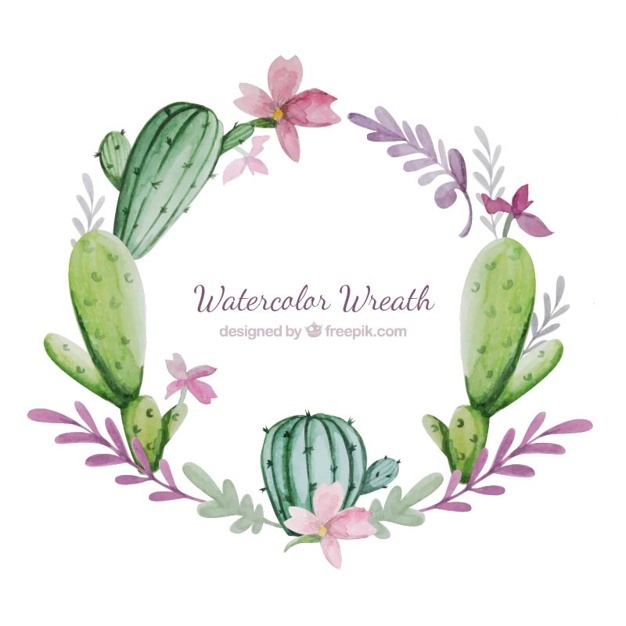 626x626 Succulent Vectors, Photos And Psd Files Free Download