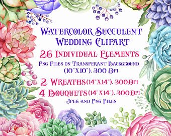 340x270 Watercolor Succulent Etsy