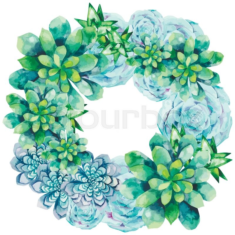 800x800 Watercolor Succulent Wreath Isolated On White Background. Cute