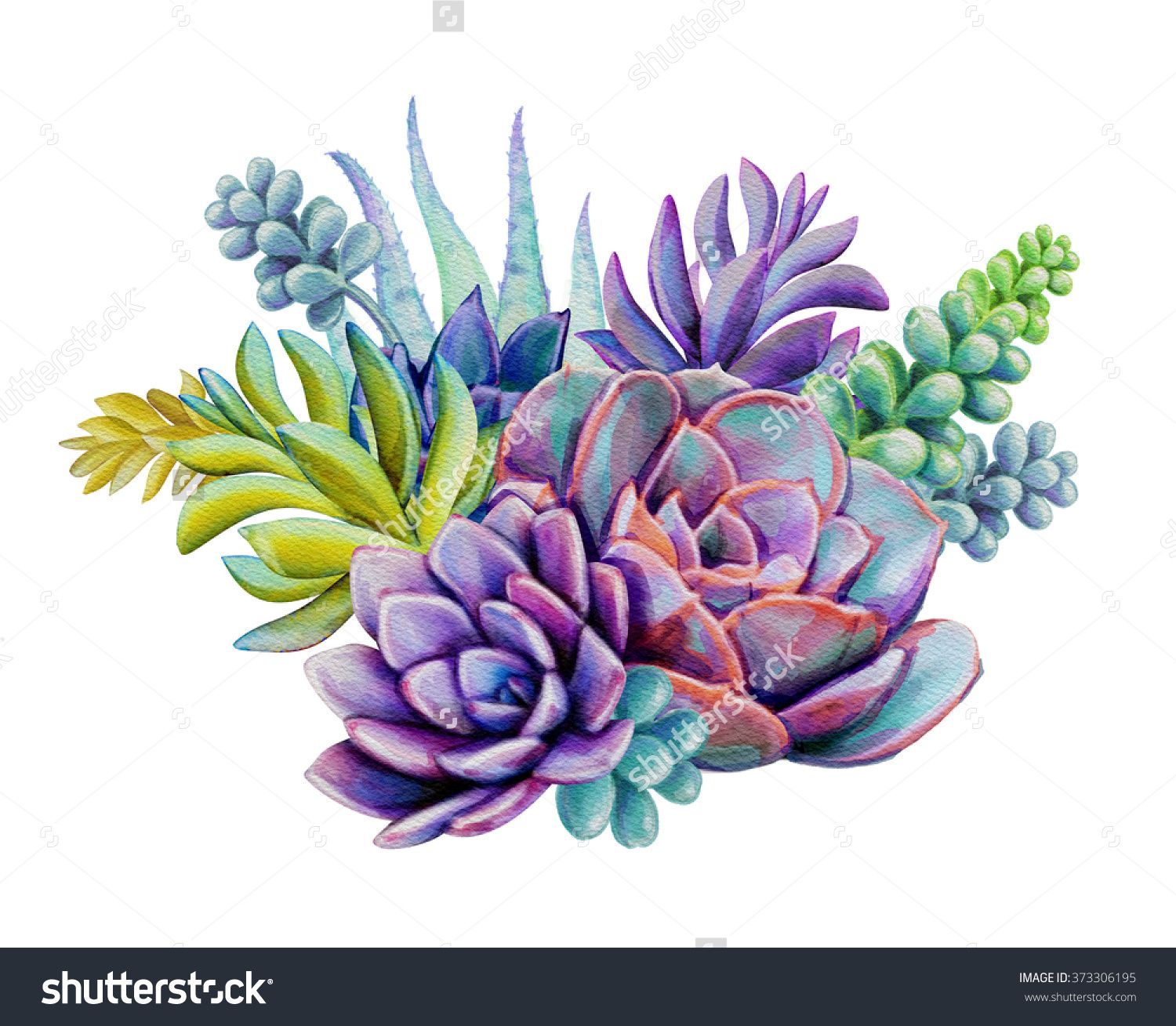 1500x1309 Watercolor Succulent Plants Composition, Floral Bouquet