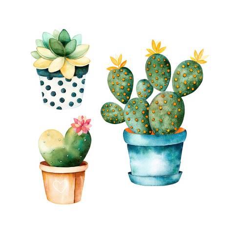 473x473 Watercolor Handpainted Cactus Plant And Succulent Plant In Pot