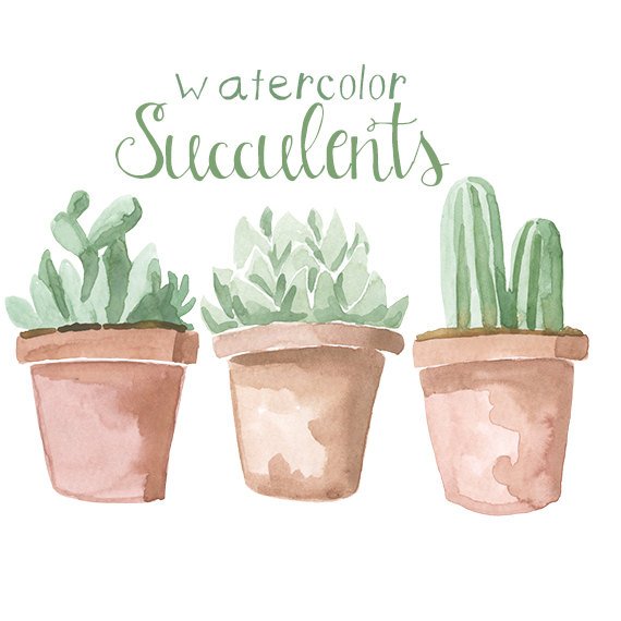 570x570 Watercolor Succulents Clip Art Clipart Succulent Clipart Etsy
