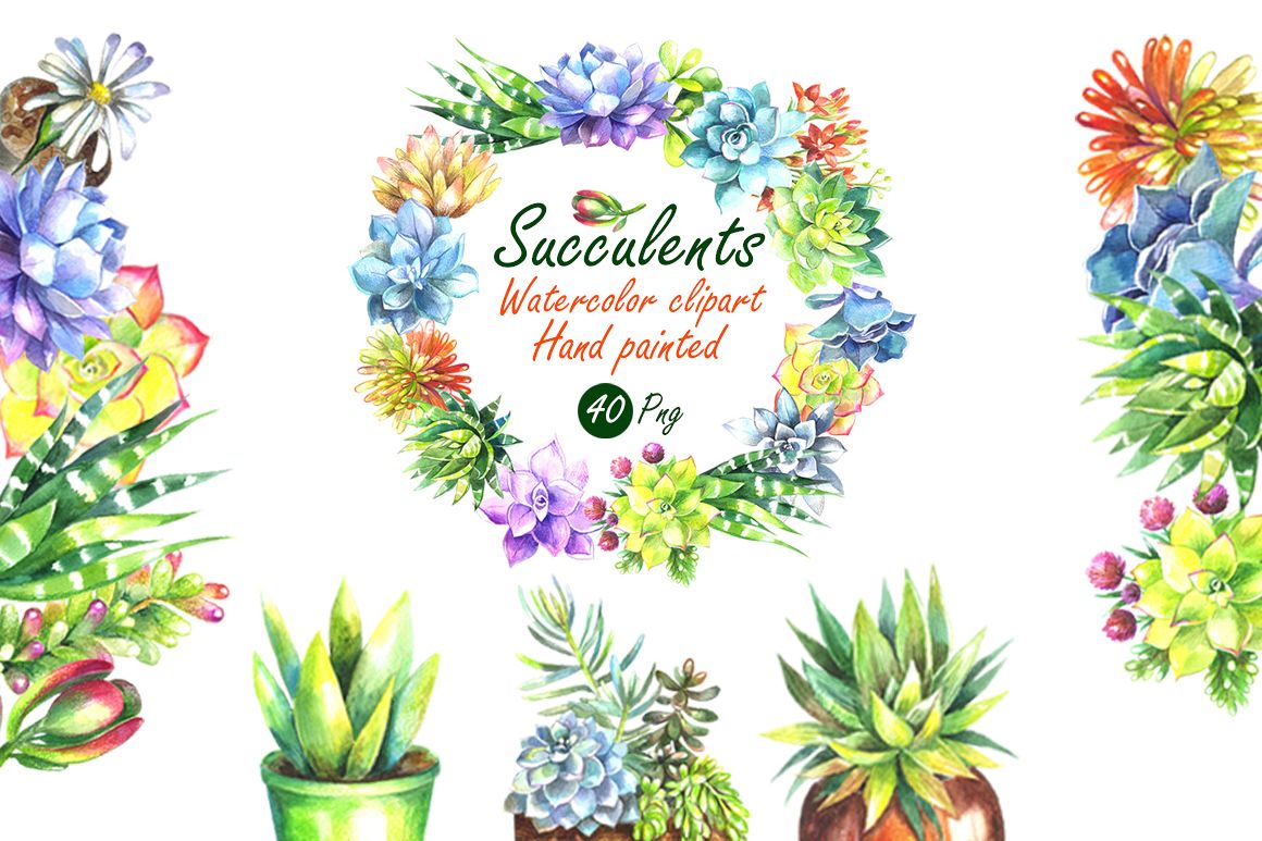 1160x773 Watercolor Succulents Clip Art Set