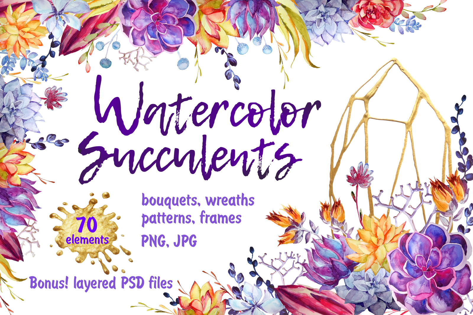 1600x1066 Watercolor Succulents Clipart + Psd In Illustrations On Yellow
