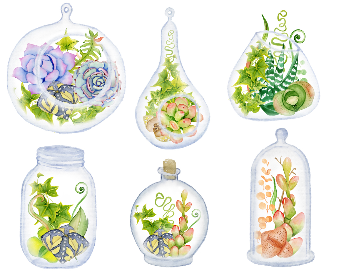 1160x945 Watercolor Succulents And Cactus Glass Terrariums Creator. Cactus