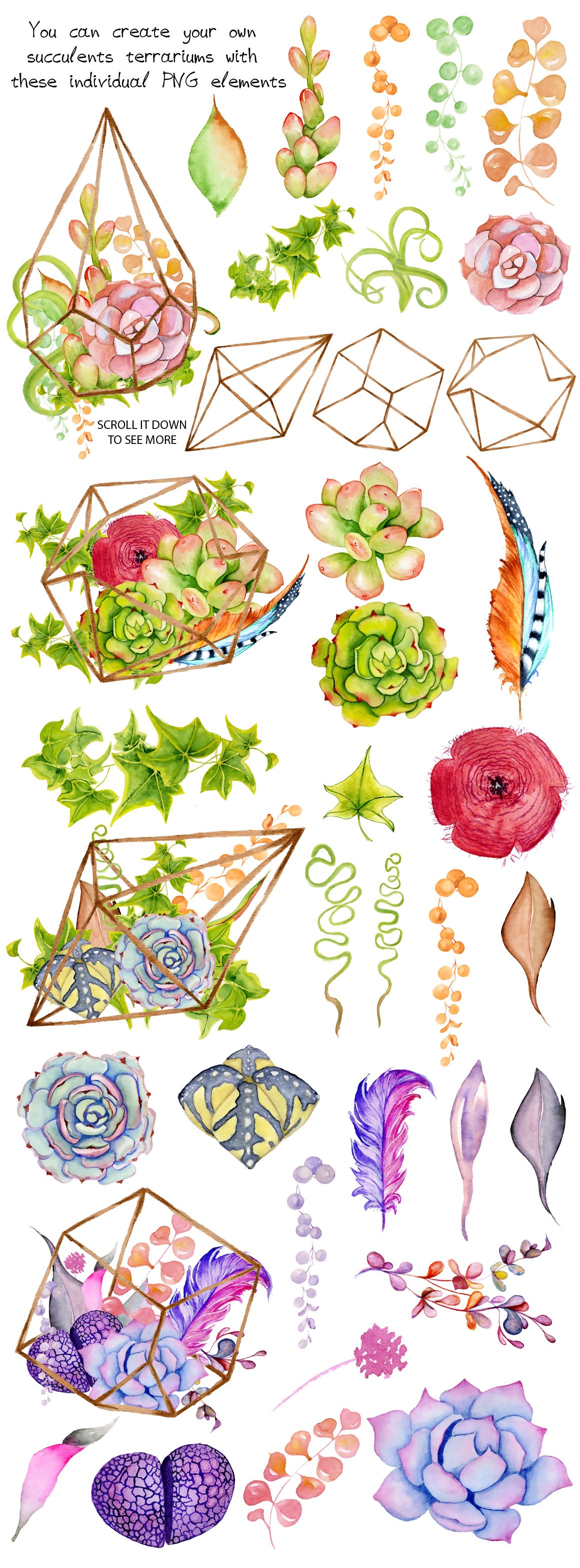 1160x3133 Watercolor Succulents And Cactus Terrariums. Cactus Clipart. Hand