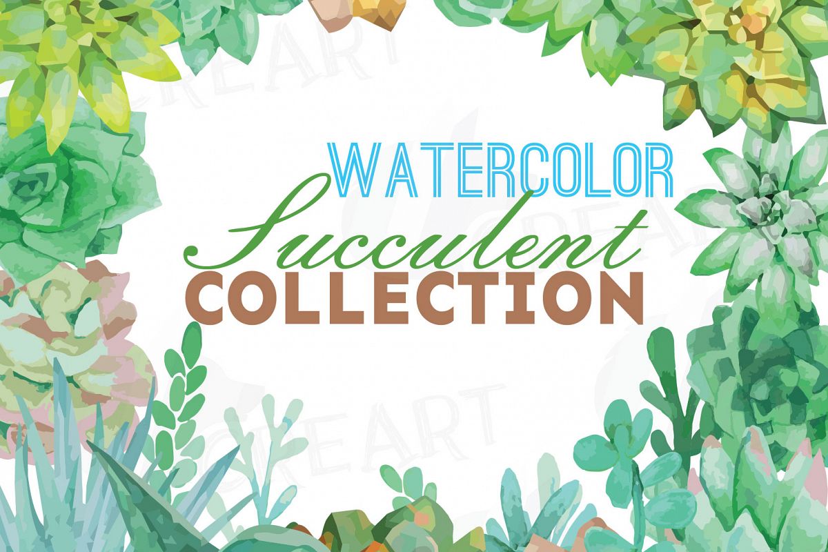 1200x800 Watercolor Succulent Clip Art Pack, Green Succulents Collection