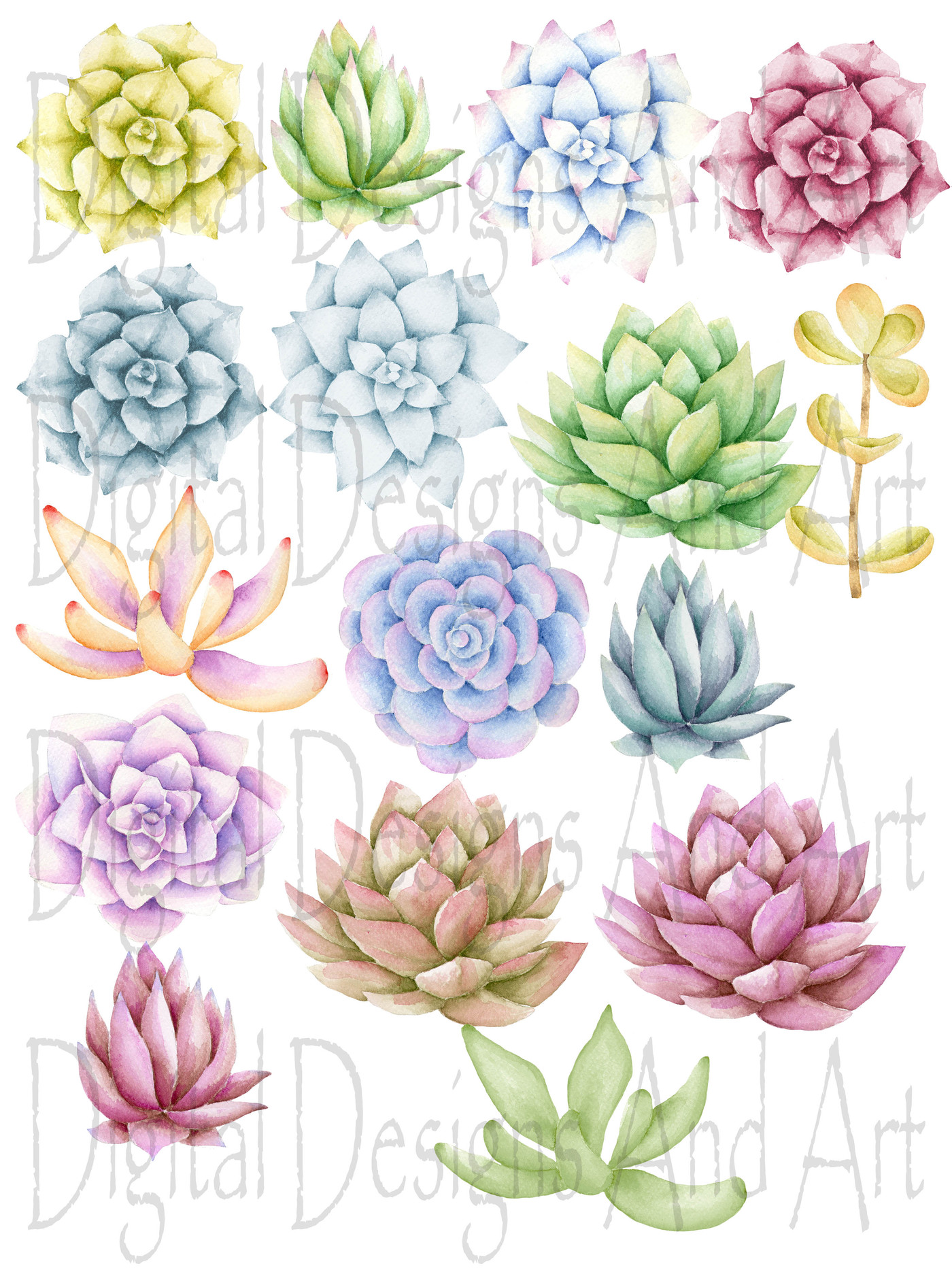 1400x1867 Watercolor Succulent Clipart By Digitaldesignsandart