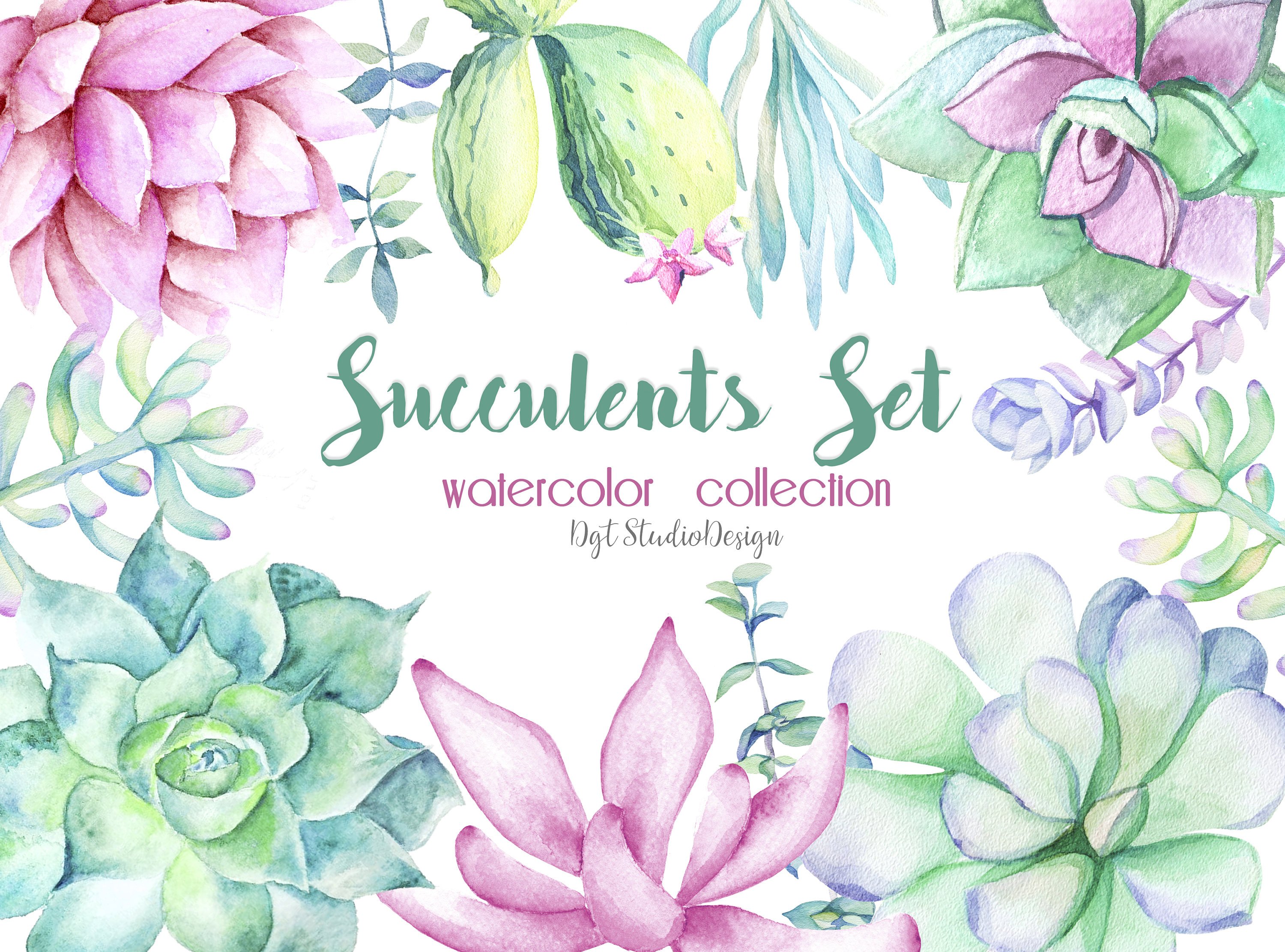 3000x2223 Watercolor Succulent Clipart Cactus Elements Separate Lilac Etsy