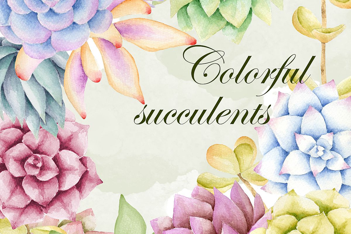 1200x800 Watercolor Succulent Clipart