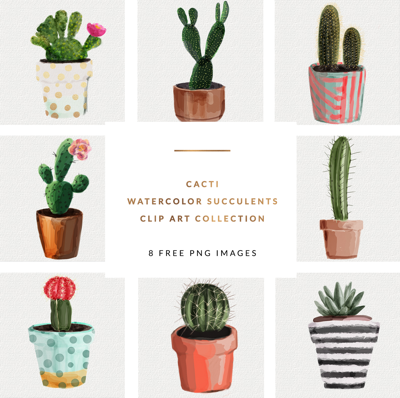 1400x1394 Freebies Watercolor Succulents Cactus Clip Art Collection 8