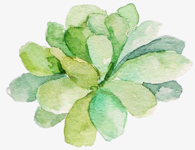 650x501 Green Watercolor Succulents, Watercolor Clipart, Green Watercolor