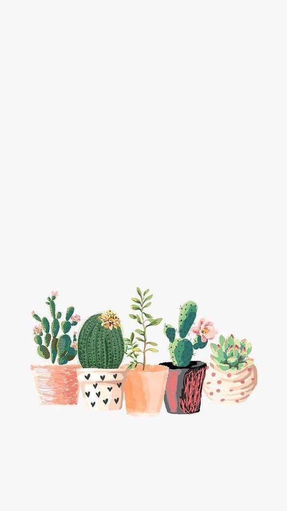 Watercolor Succulent Wallpaper