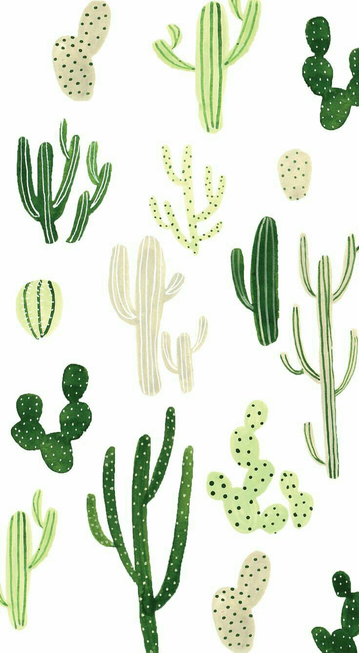 736x1338 Pin By Rachany Porras. On Tumblr Wallpaper, Cacti