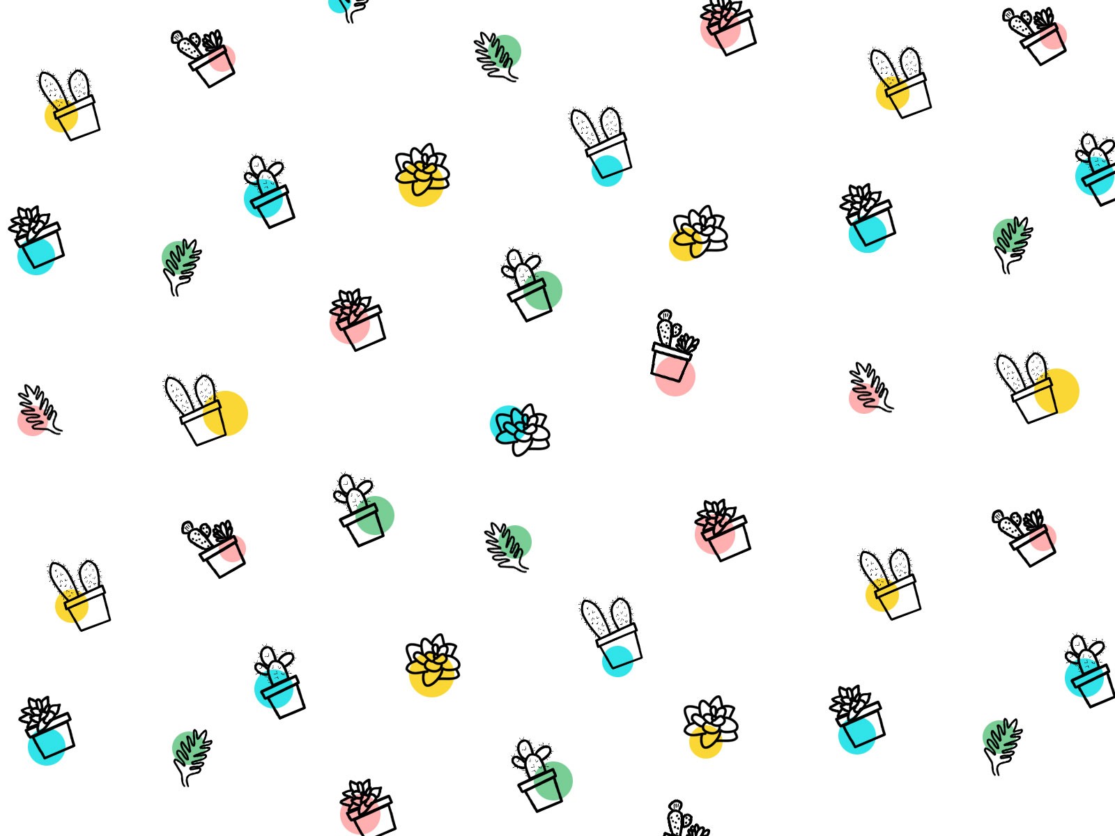 1600x1200 Succulent Wallpapers And Pictures Collection