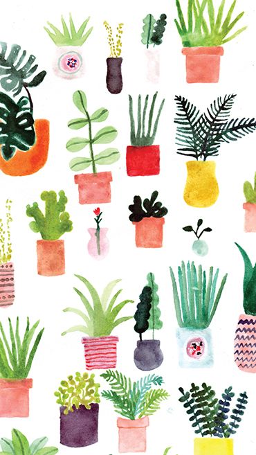 370x657 Allie Newman Wallpaper, Watercolor And Plants