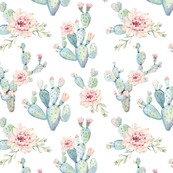 173x173 Watercolor Succulent Fabric, Wallpaper Amp Gift Wrap