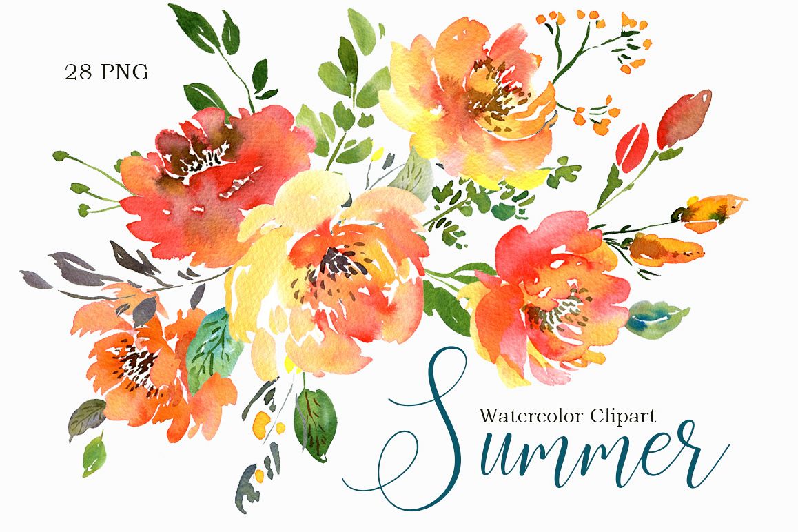 1158x772 Summer Orange Watercolor Flowers Png Collection