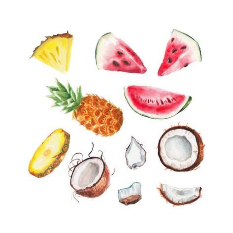 473x473 Watercolor Summer Fruits Set Prints By Lenavetka87