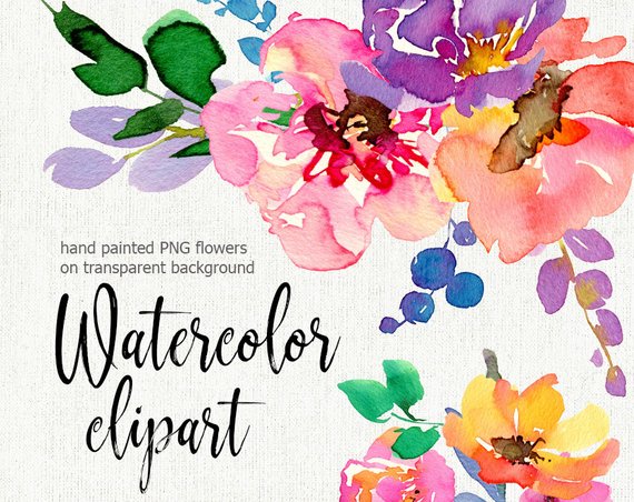 570x452 Bright Watercolor Summer Flowers Leaves Branches Aquarelle Etsy