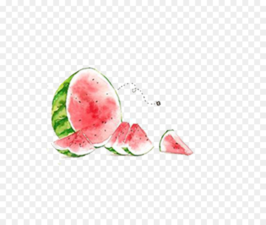 900x760 Watermelon Watercolor Painting Summer Illustration