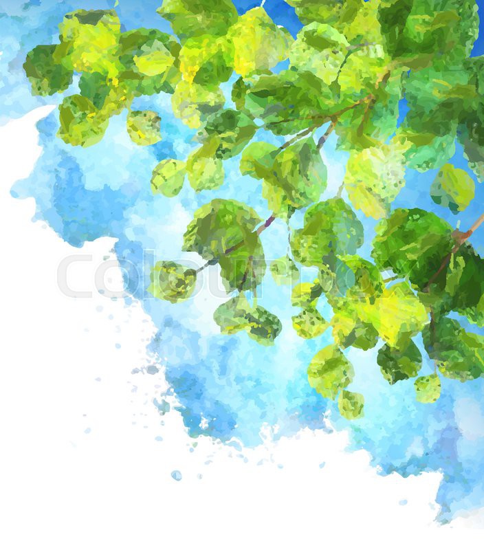 704x800 Green Leaves, Tree Branches, Vector Watercolor Summer Background