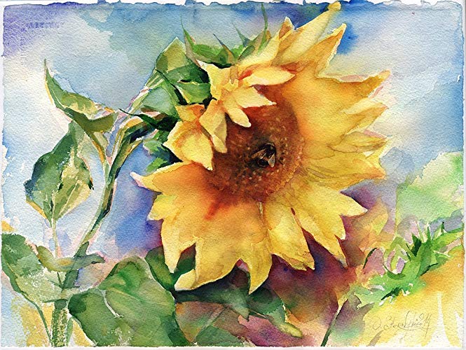 Watercolor Sunflower Step By Step