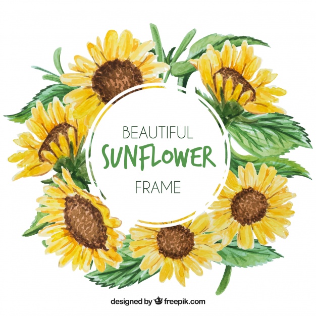 626x626 Round Floral Frame With Watercolor Sunflowers Vector Free Download