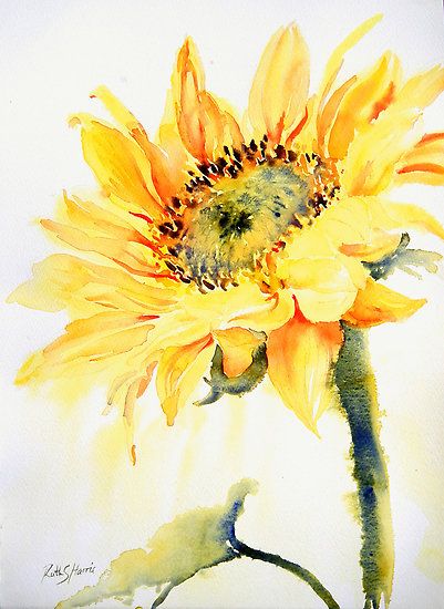 401x550 Ruth S Harris Watercolor Beautiful Art Flowers