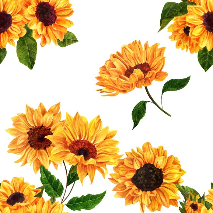 700x700 Seamless Pattern With Hand Drawn Watercolor Sunflowers Wall Mural
